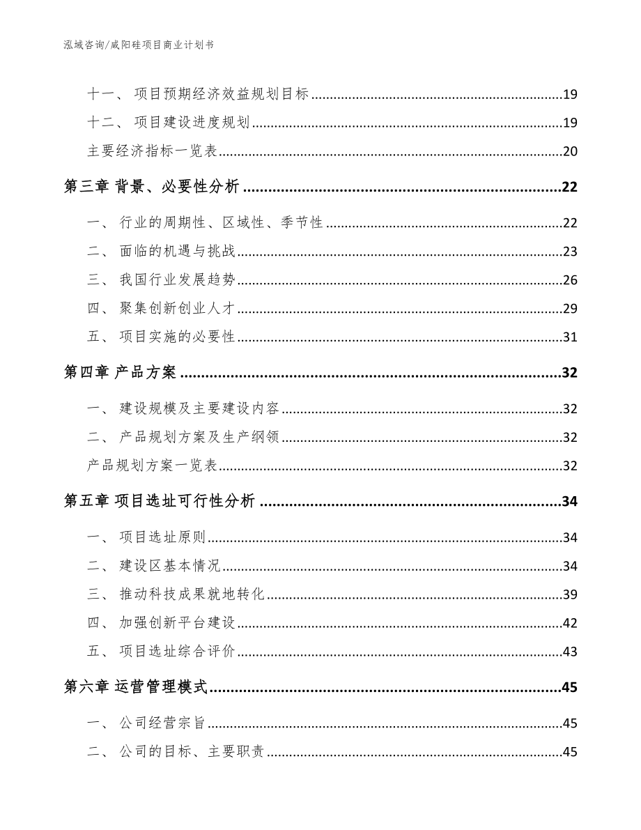 咸阳硅项目商业计划书（模板）_第2页