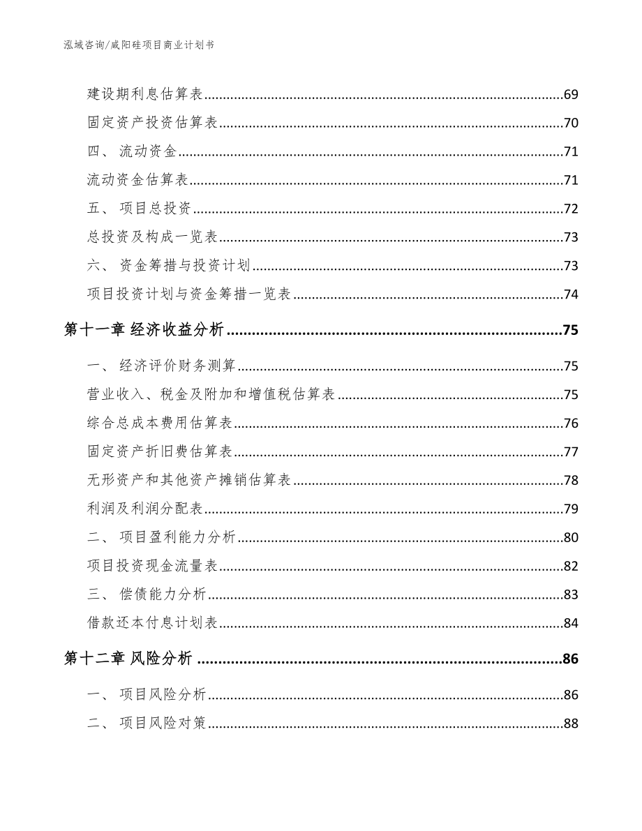 咸阳硅项目商业计划书（模板）_第4页