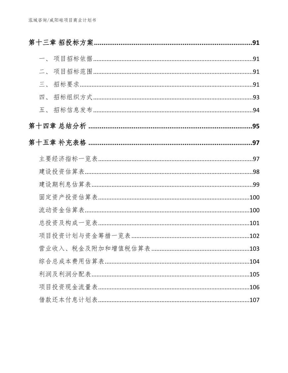 咸阳硅项目商业计划书（模板）_第5页