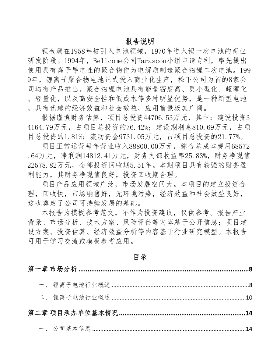 广州锂离子电池项目可行性研究报告(DOC 92页)_第1页