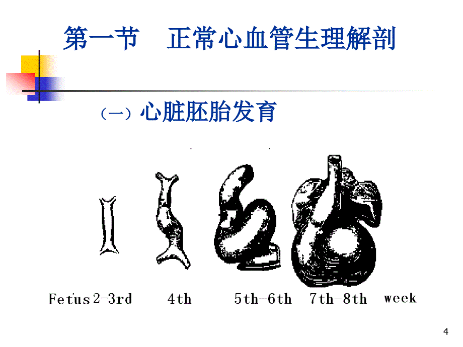 小儿循环系统疾病_第4页