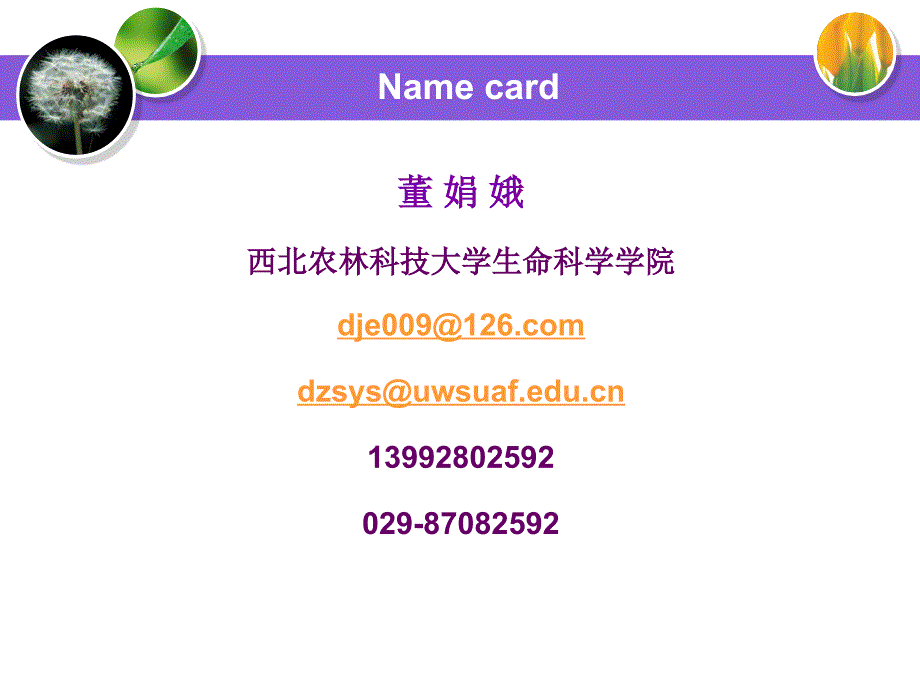 中药分析学课件第一章学习资料_第2页