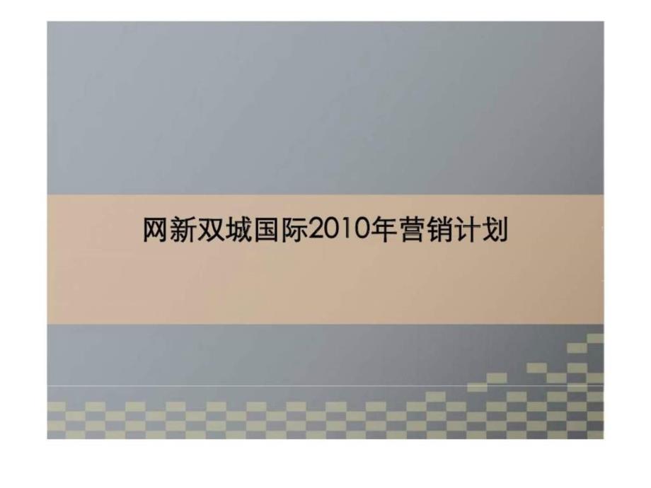 杭州网新双城国际营销计划_第1页