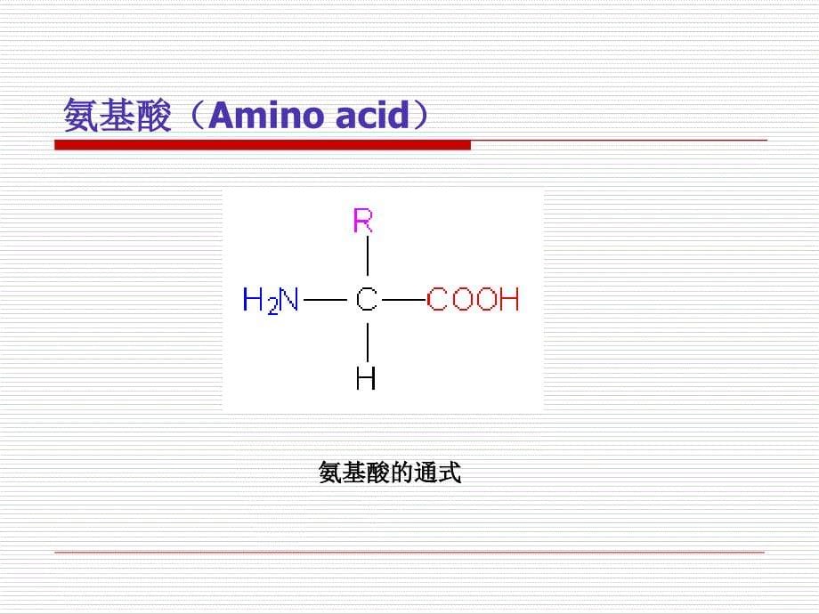 第一章蛋白质化学课件_第5页