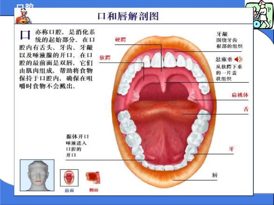 口腔护理在ICUppt课件_第4页