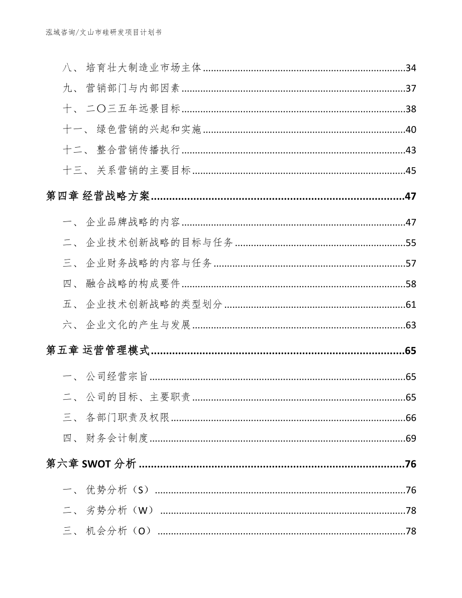 文山市硅研发项目计划书_第2页