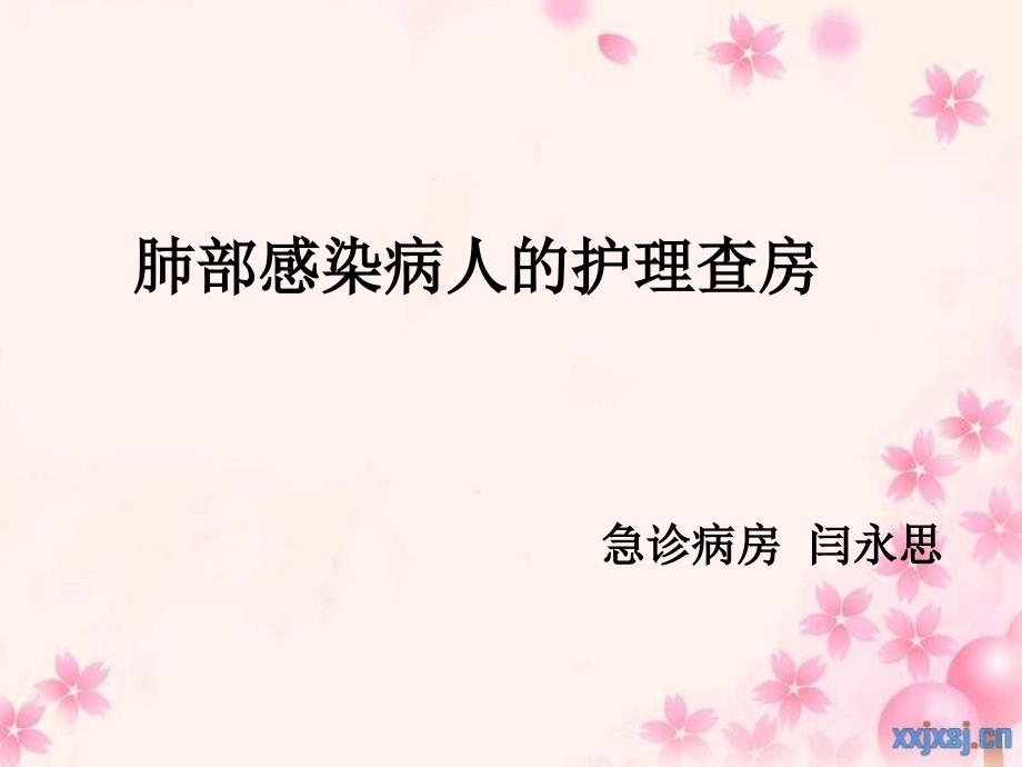 肺部感染病人的护理查房.ppt_第1页