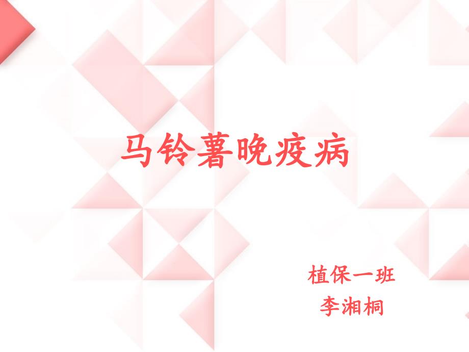 马铃薯晚疫病李湘桐.ppt_第1页