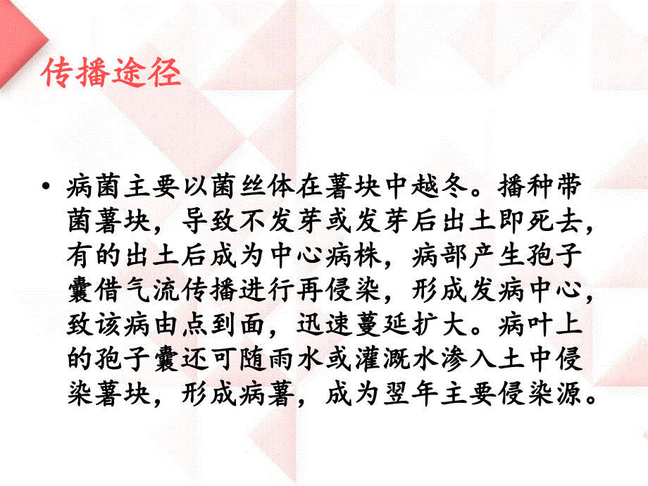 马铃薯晚疫病李湘桐.ppt_第4页