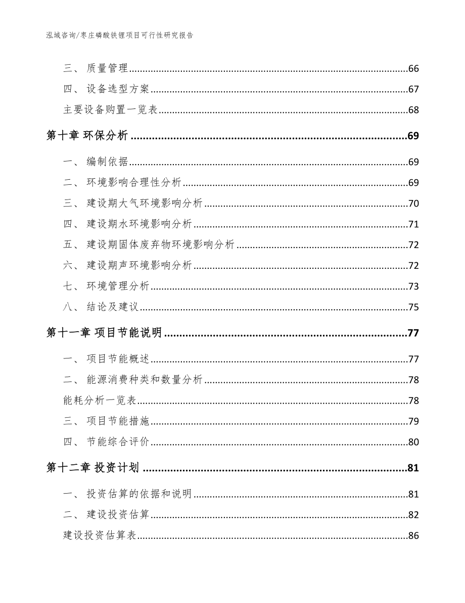 枣庄磷酸铁锂项目可行性研究报告（范文）_第3页