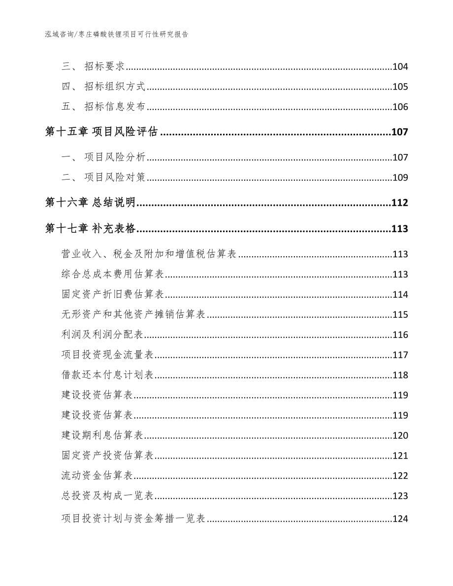 枣庄磷酸铁锂项目可行性研究报告（范文）_第5页