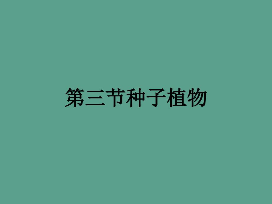 建桥3月11日初一生物种子植物ppt课件_第4页