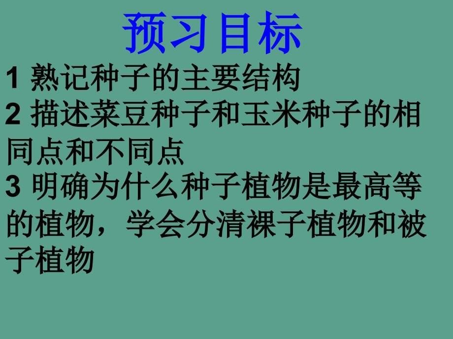 建桥3月11日初一生物种子植物ppt课件_第5页