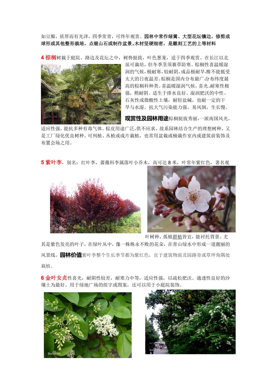 河南本地常见园林植物_第2页