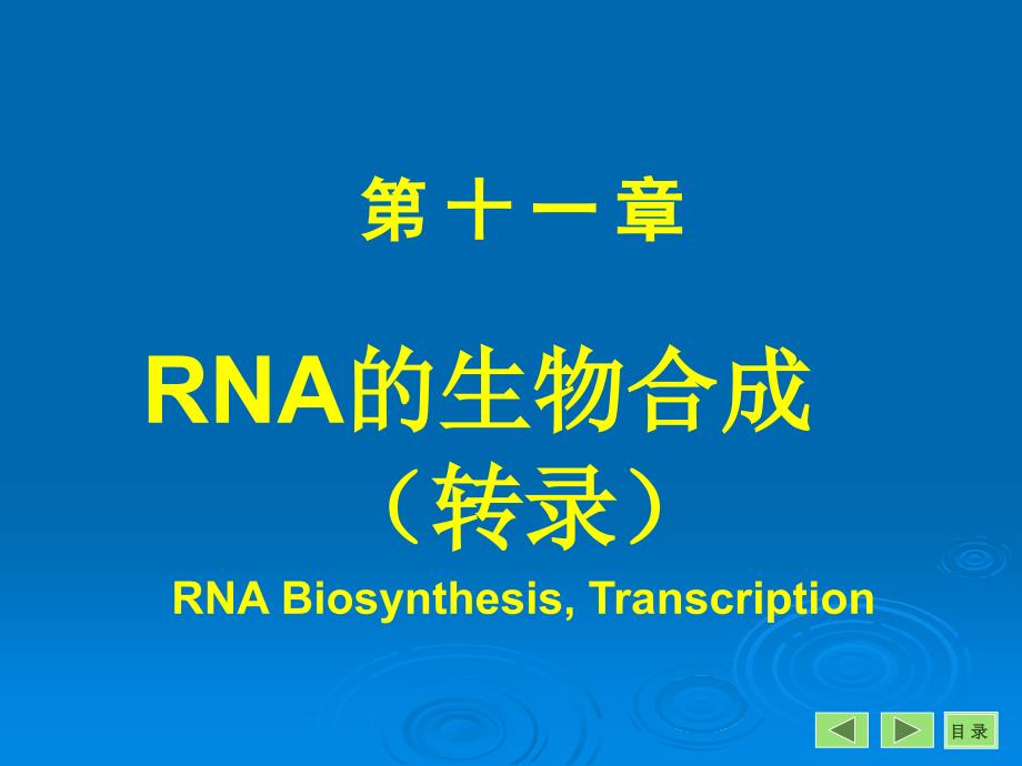 生物化学：第十一章 RNA的生物合成（转录）_第1页