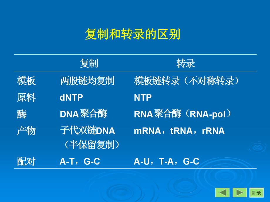 生物化学：第十一章 RNA的生物合成（转录）_第3页