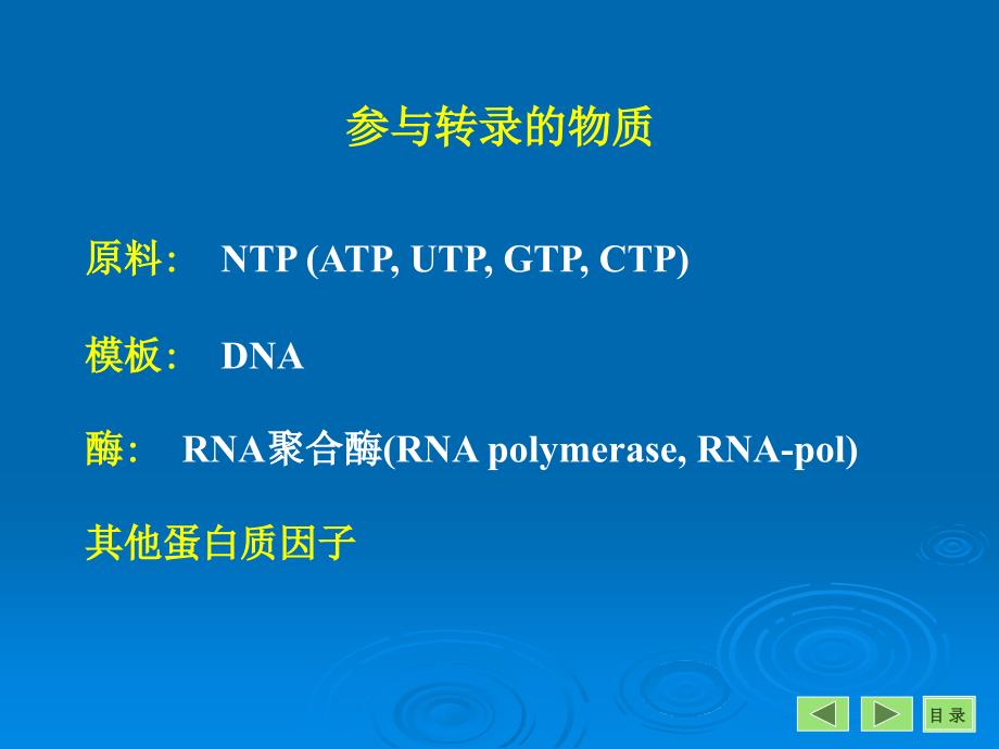 生物化学：第十一章 RNA的生物合成（转录）_第4页