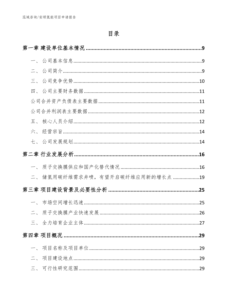 安顺氢能项目申请报告【模板范文】_第2页