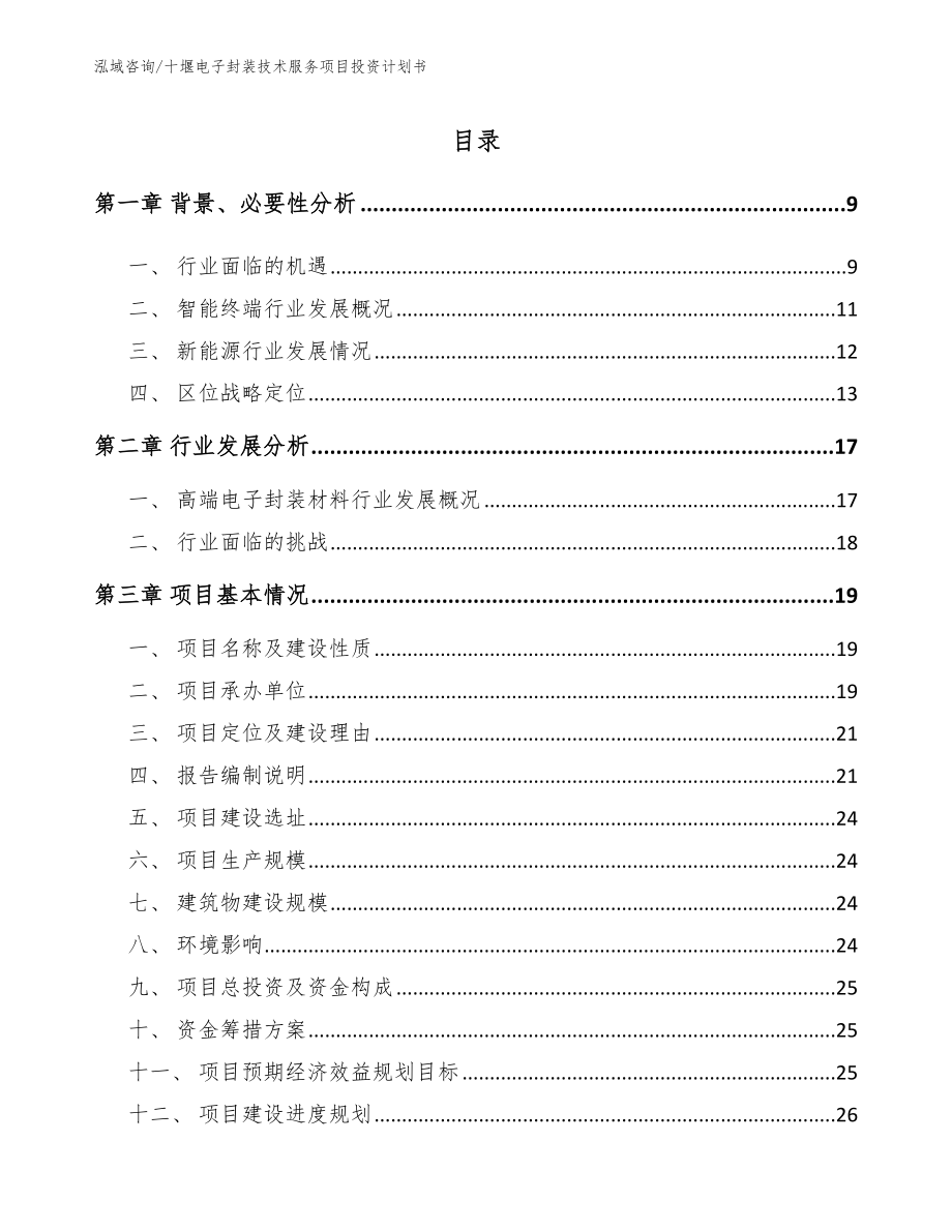 十堰电子封装技术服务项目投资计划书模板参考_第2页