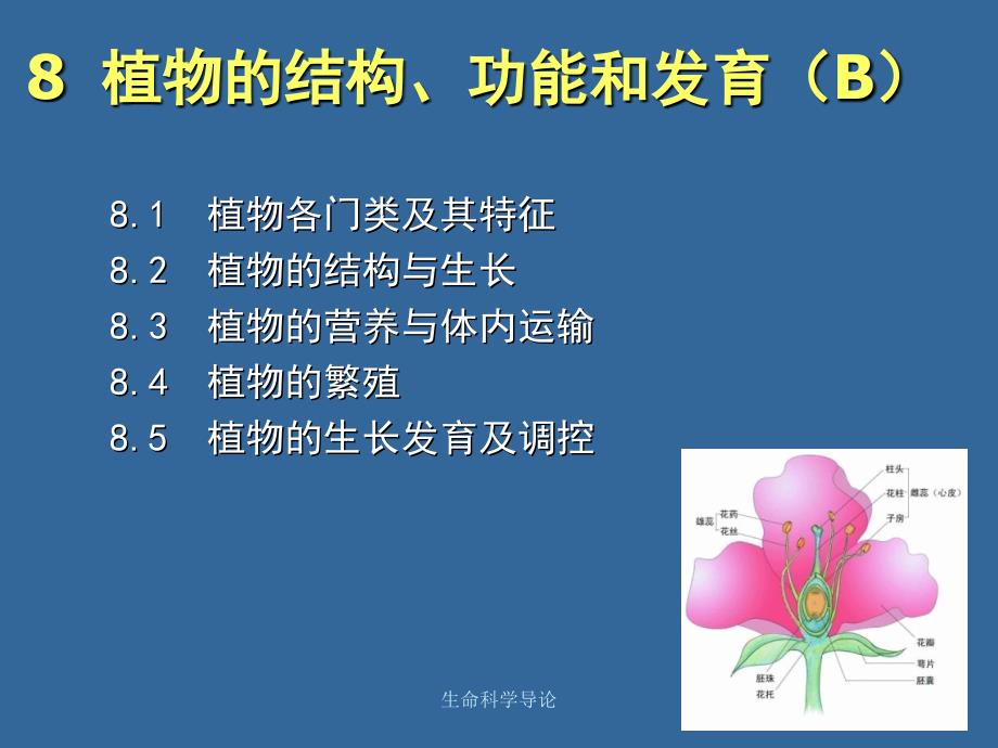 生命科学导论课件_第1页