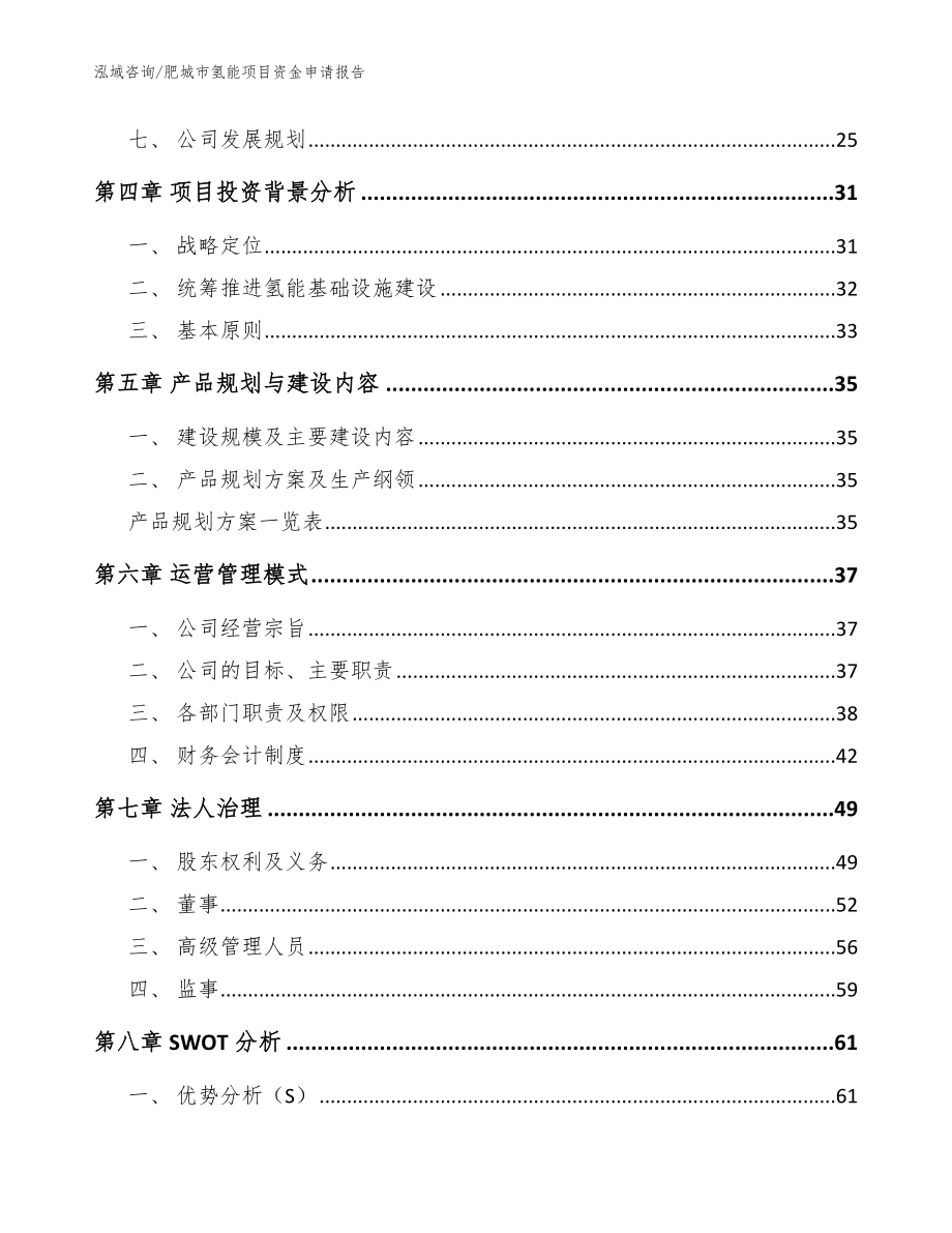 肥城市氢能项目资金申请报告_范文参考_第2页