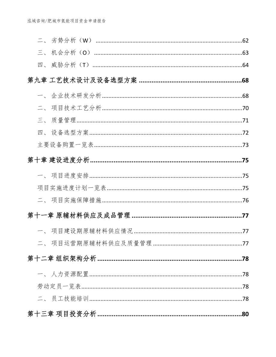 肥城市氢能项目资金申请报告_范文参考_第3页