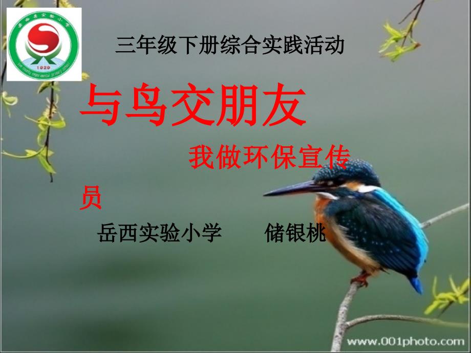 与鸟交朋友——我做环保宣传员_第1页