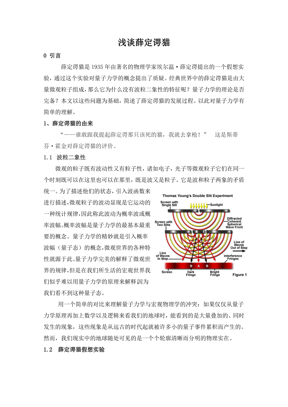 精选浅谈薛定谔猫_第1页