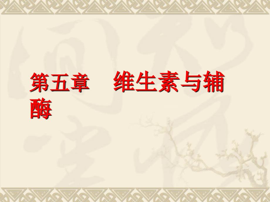 生物化学第五章维生素与辅酶_第1页