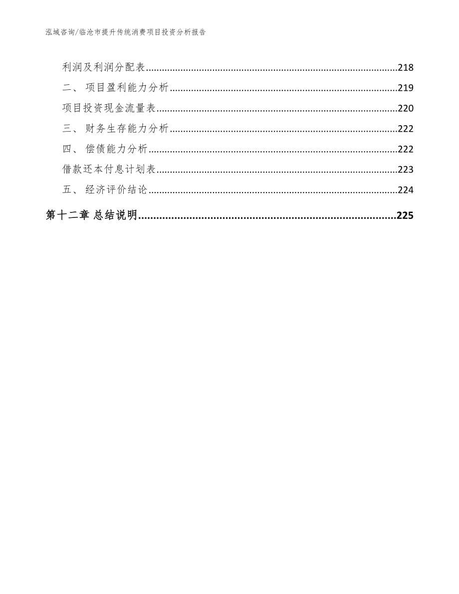 临沧市提升传统消费项目投资分析报告_第5页