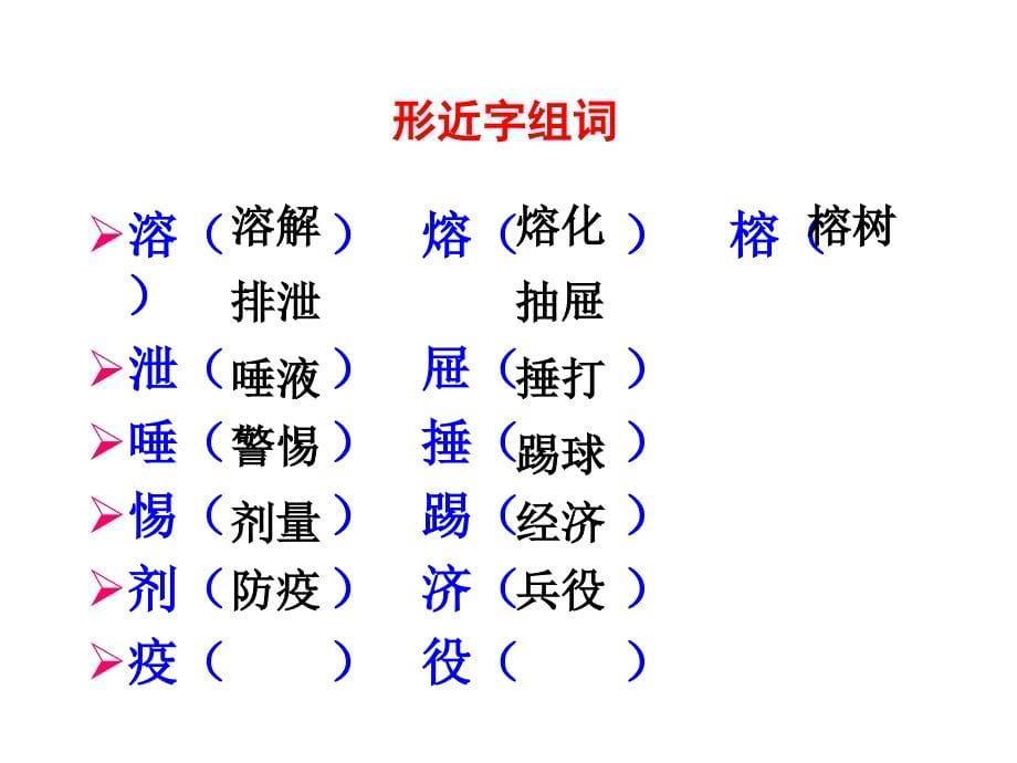 生命与水教学课件_第5页