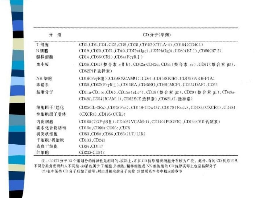 CD分子(研究生)讲课讲稿_第5页