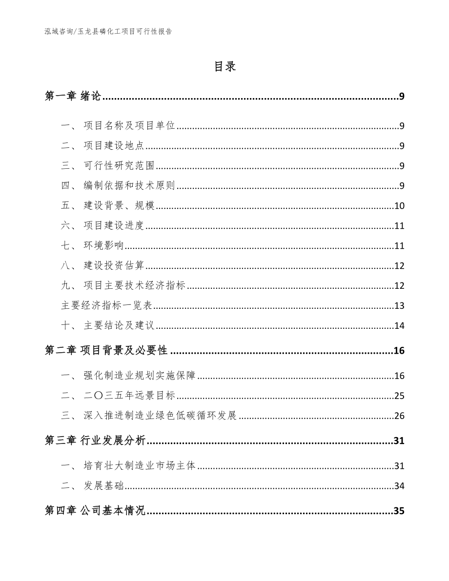 玉龙县磷化工项目可行性报告范文参考_第2页