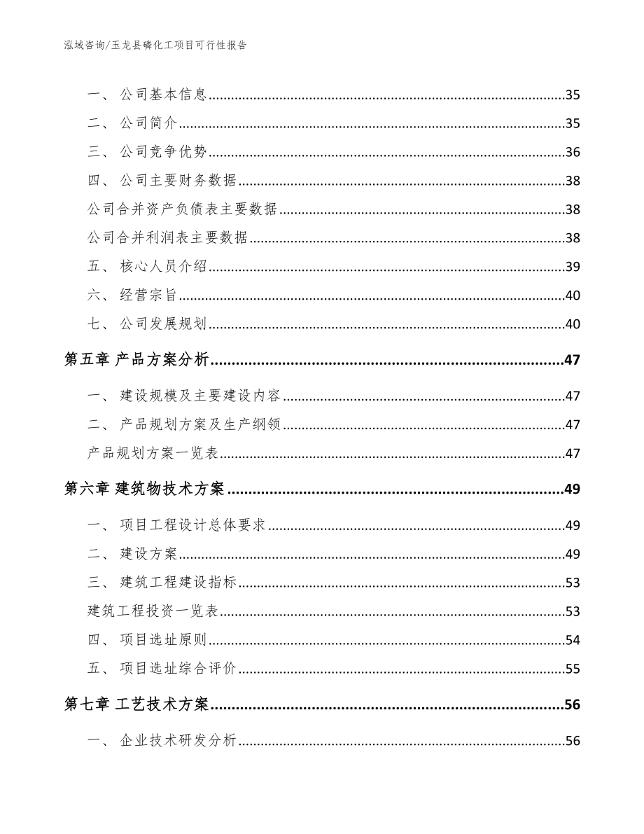 玉龙县磷化工项目可行性报告范文参考_第3页