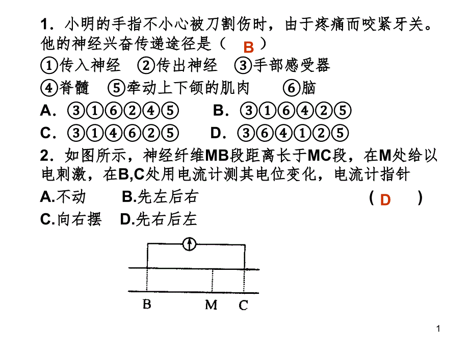 2.1通过神经系统的调节练习题(课堂PPT)_第1页