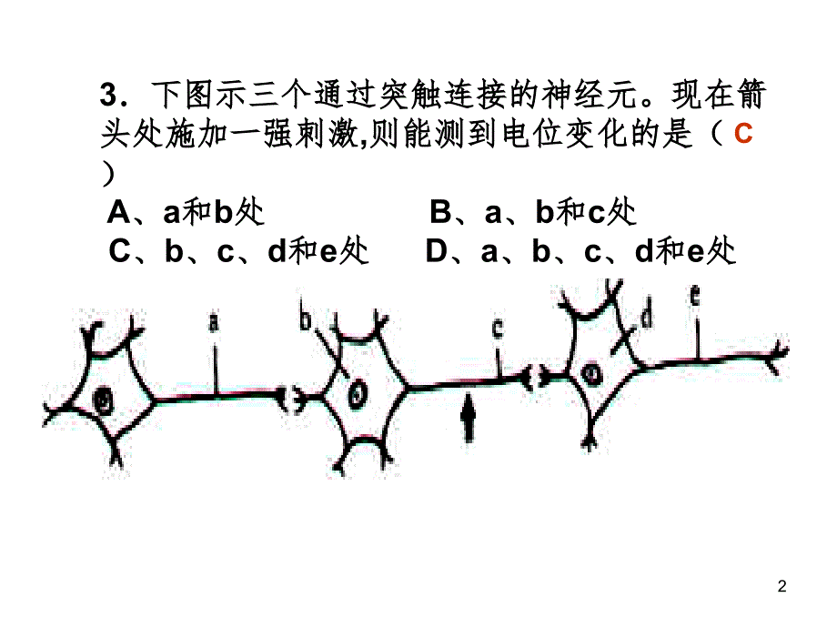 2.1通过神经系统的调节练习题(课堂PPT)_第2页