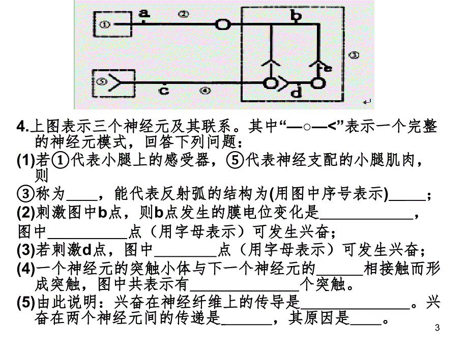 2.1通过神经系统的调节练习题(课堂PPT)_第3页