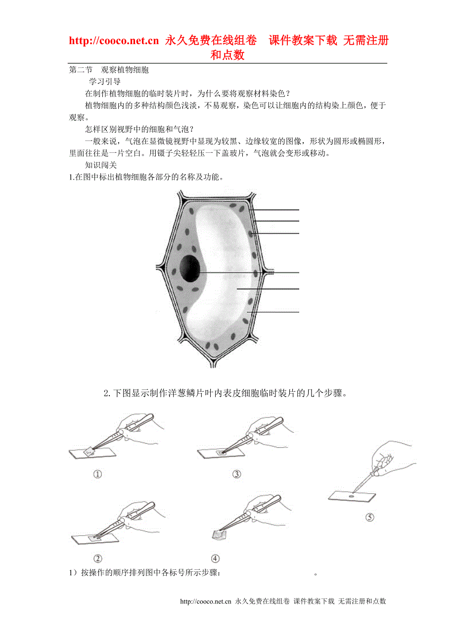 1.2《观察植物细胞》同步练习（人教版七年级上）doc--初中生物_第1页