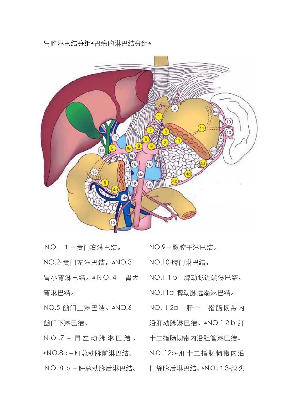 胃的淋巴结分组_第1页