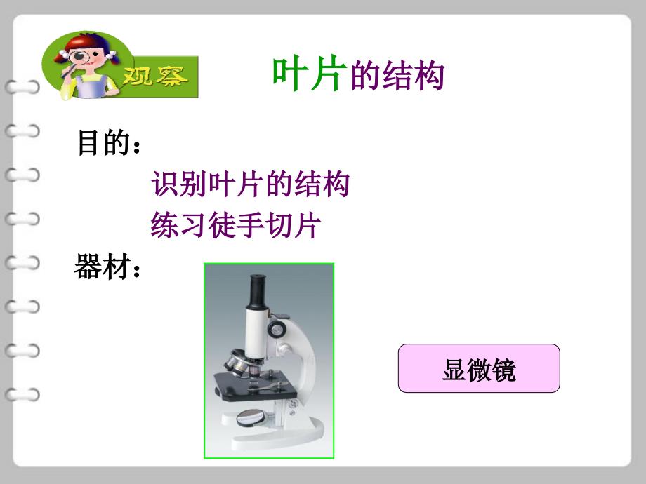 生物：6.2植物光合作用的场所课件苏教版七年级上_第4页