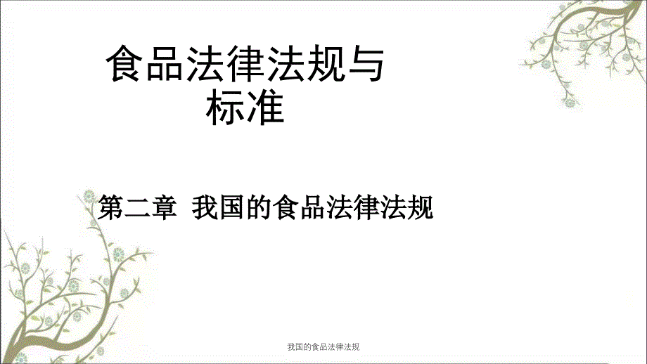 我国的食品法律法规课件_第1页