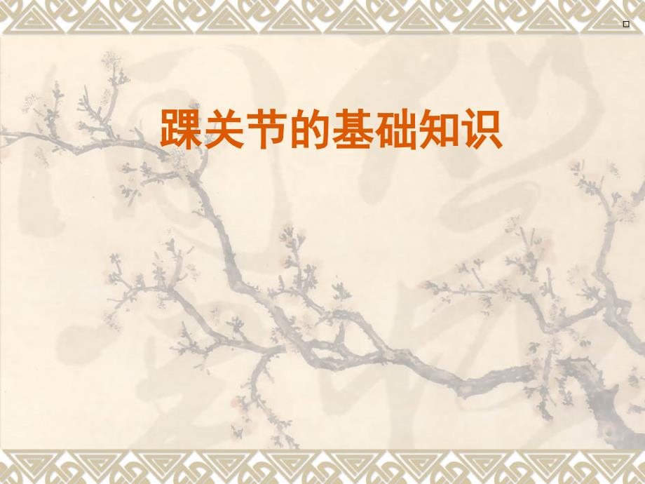 踝关节的基础知识课件_第1页