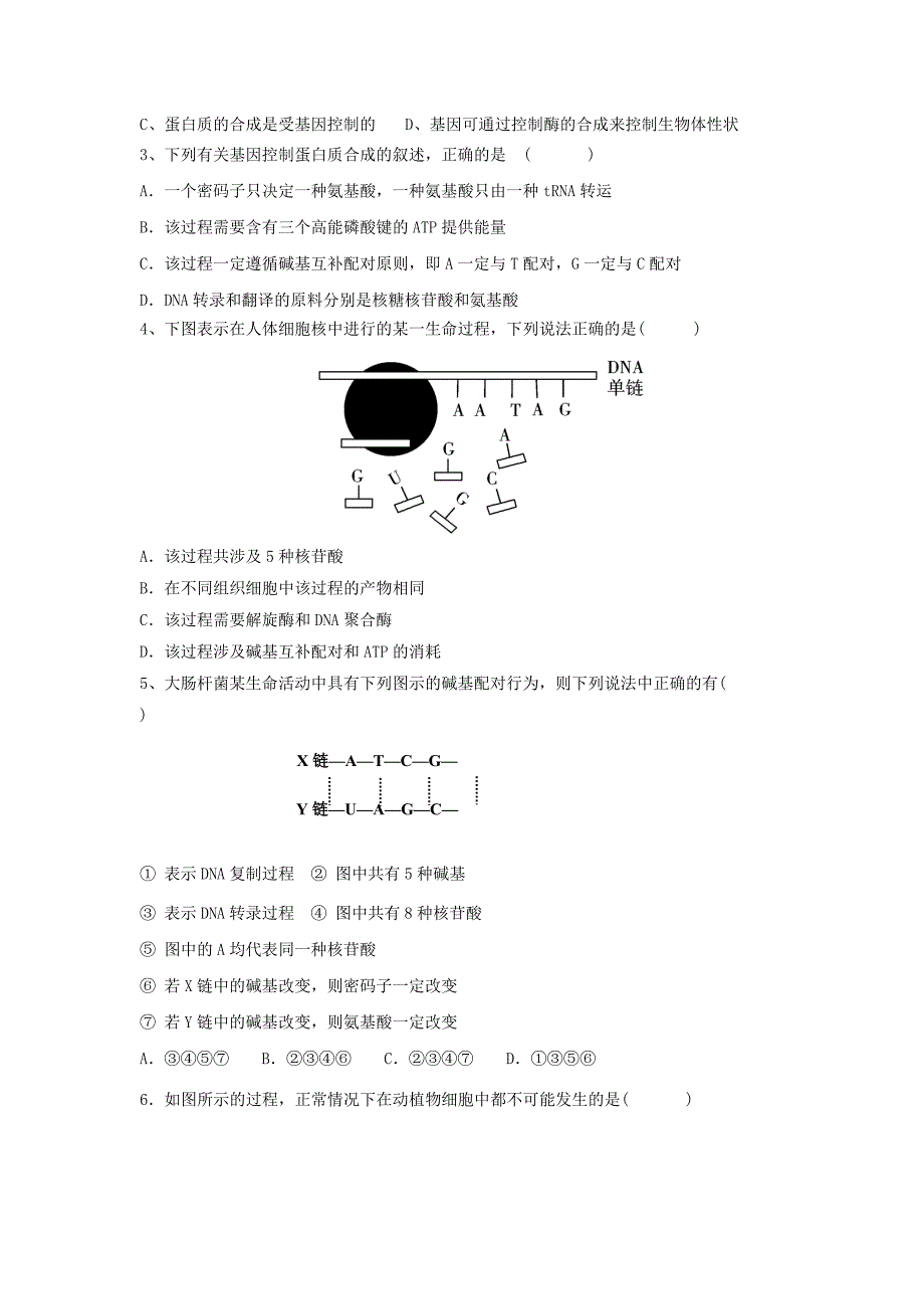 基因表达一轮复习学案.doc_第2页