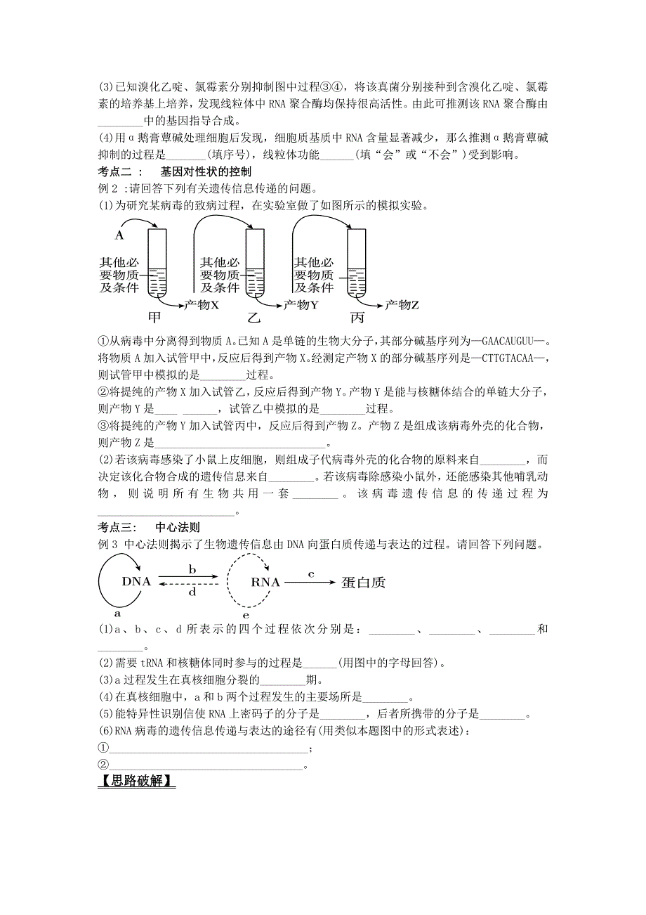 基因表达一轮复习学案.doc_第4页