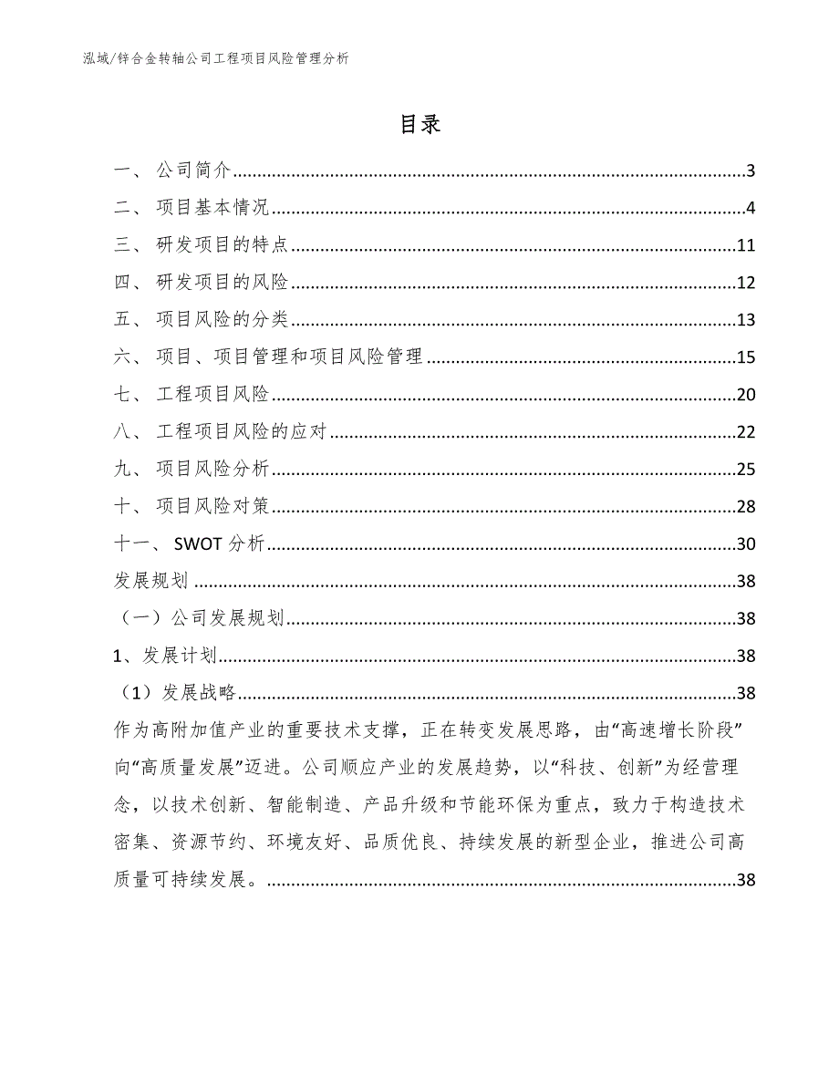 锌合金转轴公司工程项目风险管理分析_范文_第2页