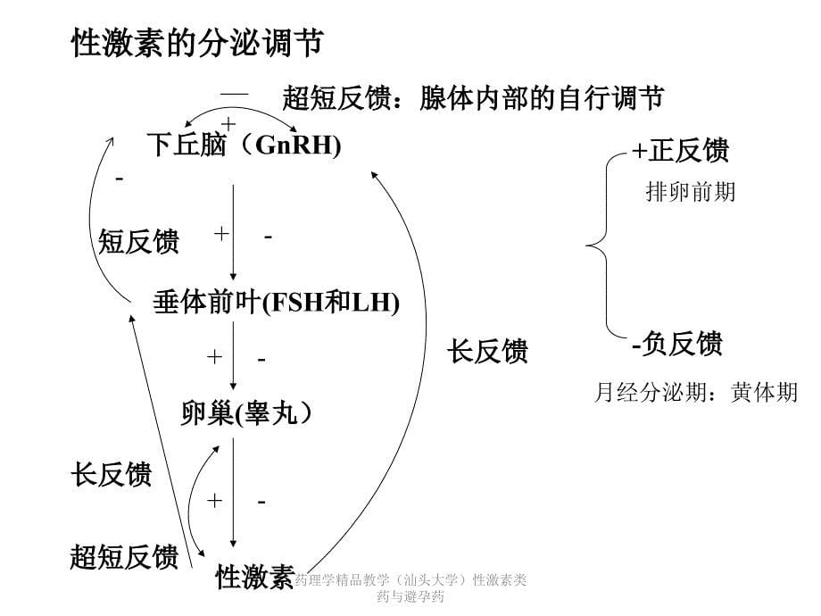 药理学精品教学汕头大学性激素类药与避孕药课件_第5页