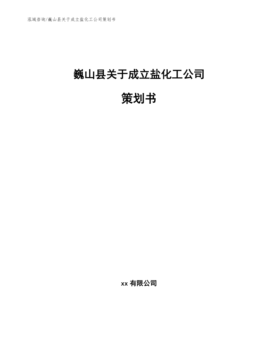 巍山县关于成立盐化工公司策划书范文模板_第1页