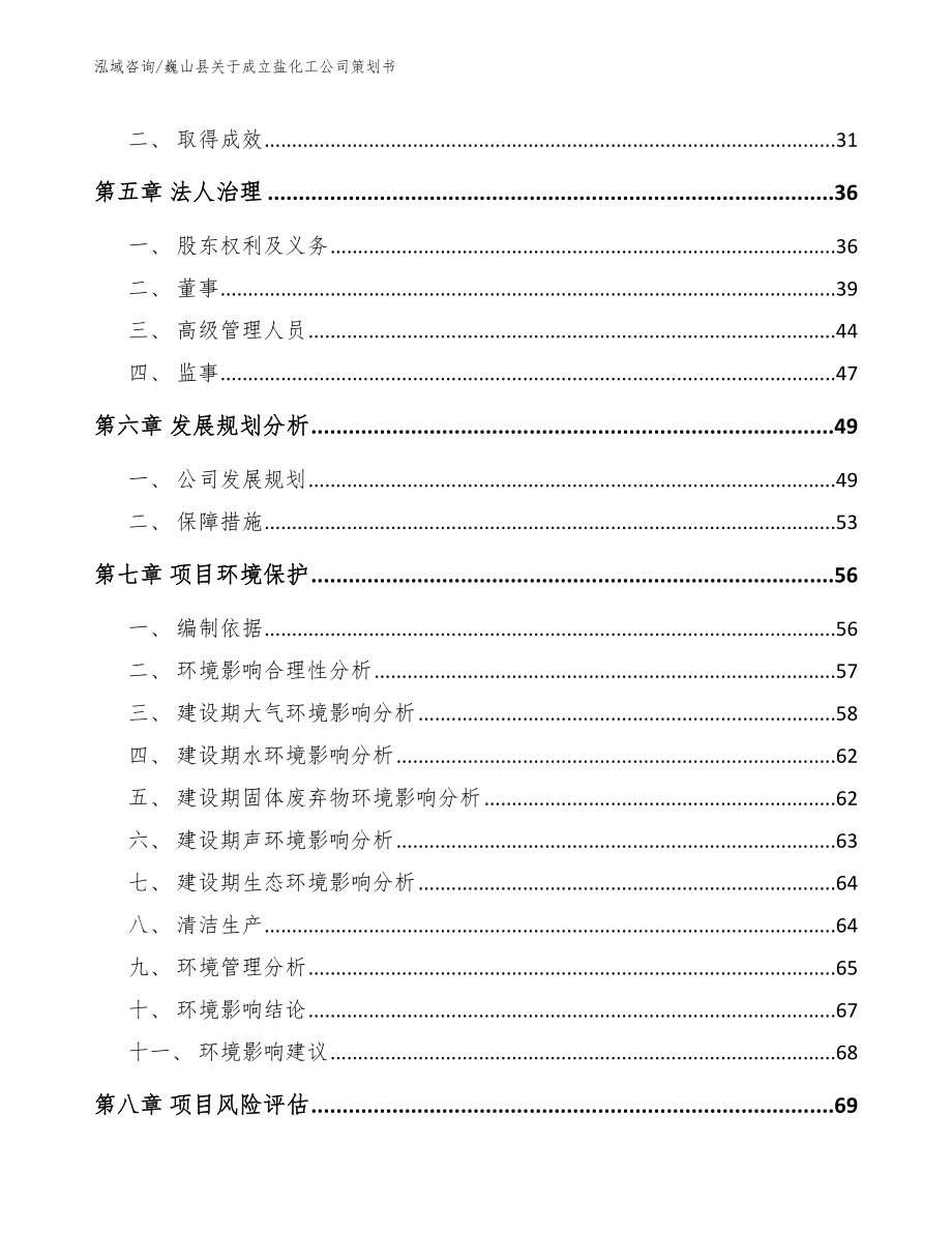 巍山县关于成立盐化工公司策划书范文模板_第4页