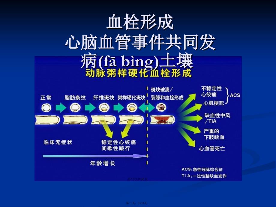 三联抗血小板治疗在非ST段抬高急性冠脉综合征患者中的应用学习教案_第2页