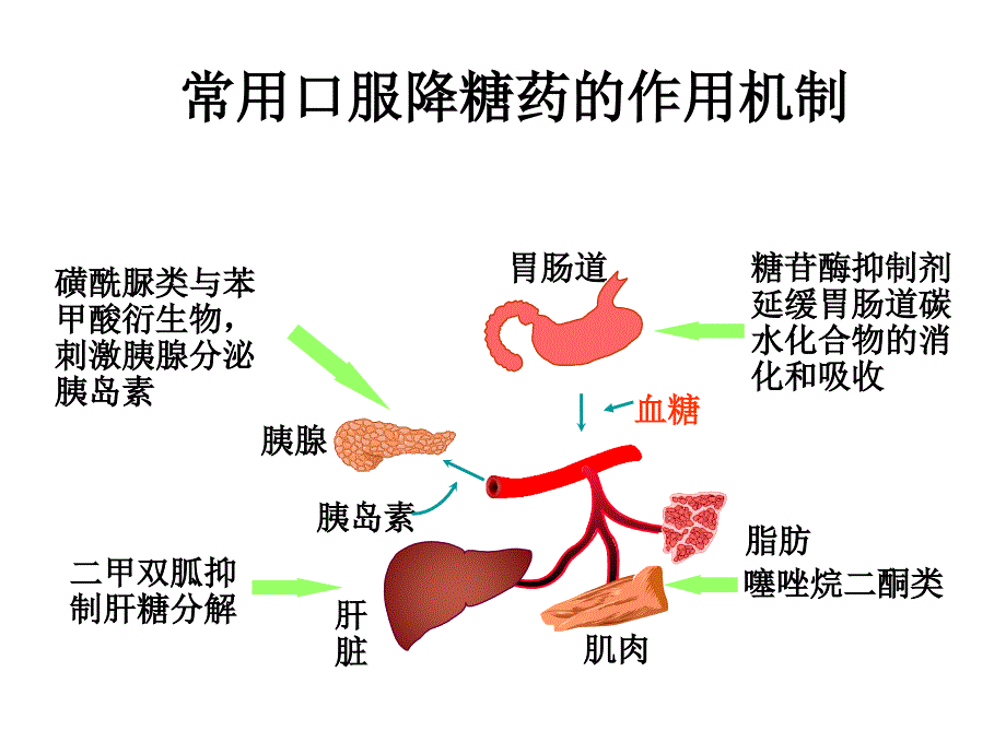 口服降糖药与胰岛素注射_第4页